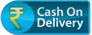 Cash on Delivery Icon