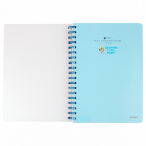 Sổ Caro lò xo kép bìa nhựa 2 mặt B5 200 trang 100/76; MS: 576