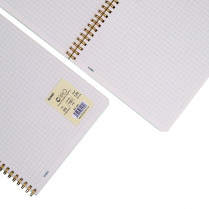 Sổ Caro (6 x 6) mm lò xo kép bìa nhựa 2 mặt B5 120 trang 100/76; MS: 584