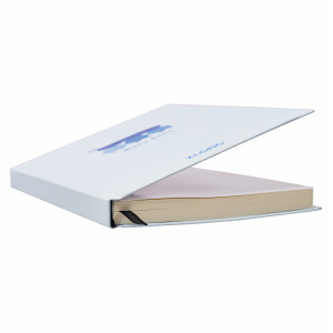 Sổ Dash Caro (6 x 6) mm bìa cứng Plantasy A5 160 trang 120/76; MS: 650