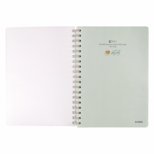 Sổ Caro lò xo kép bìa nhựa 2 mặt B5 200 trang 100/76; MS: 576